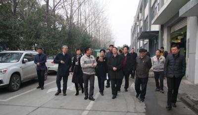 十年好博体育伴我行 又添春雨沐春风 ——记天津津南区党政代表团莅临合肥好博体育考察指导